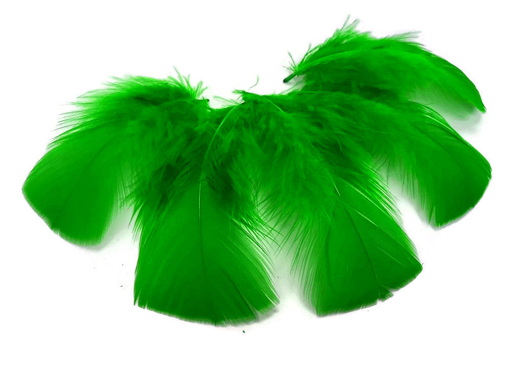 1/4 Lb - Kelly  Green Turkey T-Base Plumage Wholesale Feathers (Bulk)