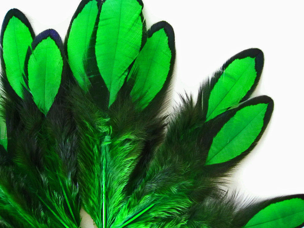 1 Dozen - Kelly Green Whiting Farms Laced Hen Saddle Feathers