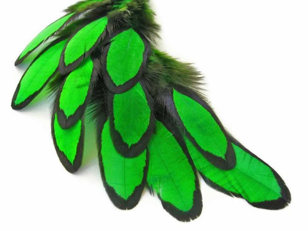 1 Dozen - Kelly Green Whiting Farms Laced Hen Saddle Feathers