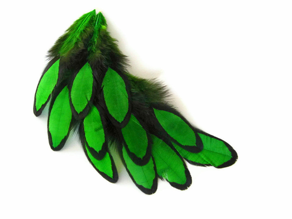 1 Dozen - Kelly Green Whiting Farms Laced Hen Saddle Feathers