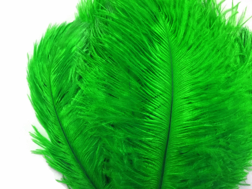 100 Pieces - 8-10" Kelly Green Ostrich Dyed Drab Body Wholesale Feathers (Bulk)