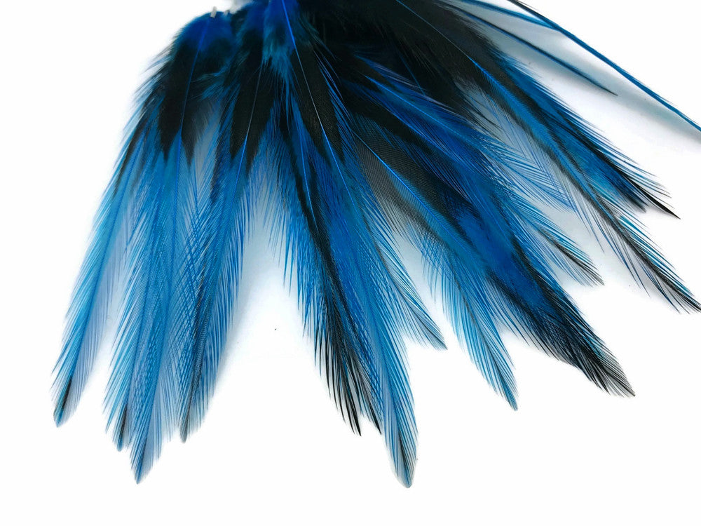 10 Pieces - Kingfisher Blue Dyed BLW Laced Short Rooster Cape Whiting Farms Feathers