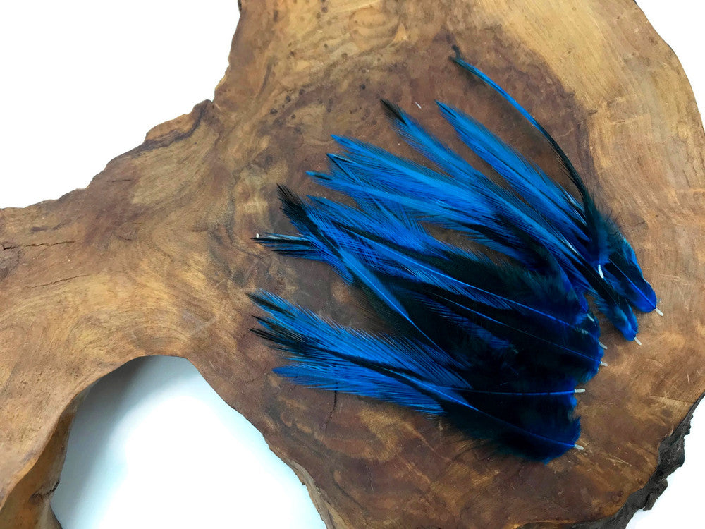 10 Pieces - Kingfisher Blue Dyed BLW Laced Short Rooster Cape Whiting Farms Feathers