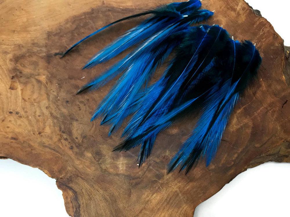 10 Pieces - Kingfisher Blue Dyed BLW Laced Short Rooster Cape Whiting Farms Feathers