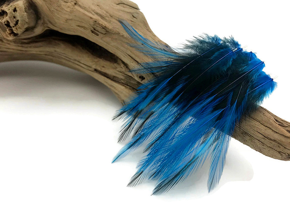 10 Pieces - Kingfisher Blue Dyed BLW Laced Short Rooster Cape Whiting Farms Feathers