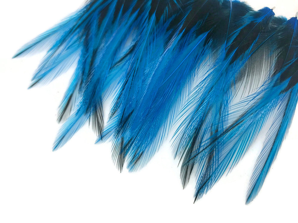 10 Pieces - Kingfisher Blue Dyed BLW Laced Short Rooster Cape Whiting Farms Feathers