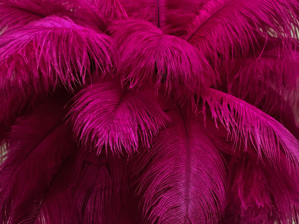 10 Pieces - 17-19" Magenta Large Bleached & Dyed Ostrich Drabs Body Feathers