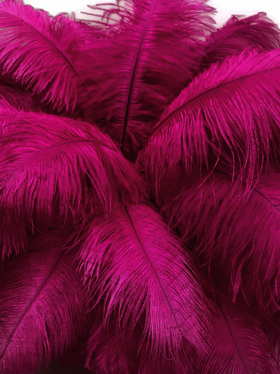 1/2 Lb - 17-19" Magenta Ostrich Drab Wholesale Feathers (Bulk)