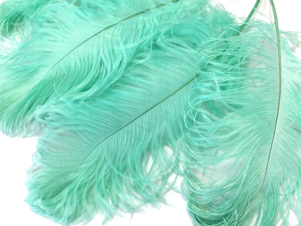 10 Pieces -  12-16" Mint Green Dyed Ostrich Tail Fancy Feathers