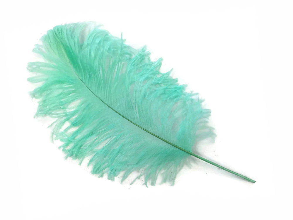 1/2 Lb - 12-16" Mint Green Ostrich Tail Wholesale Fancy Feathers (Bulk)