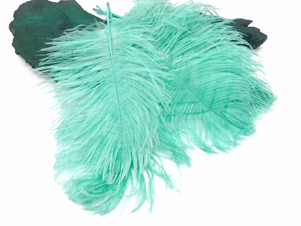 10 Pieces -  12-16" Mint Green Dyed Ostrich Tail Fancy Feathers