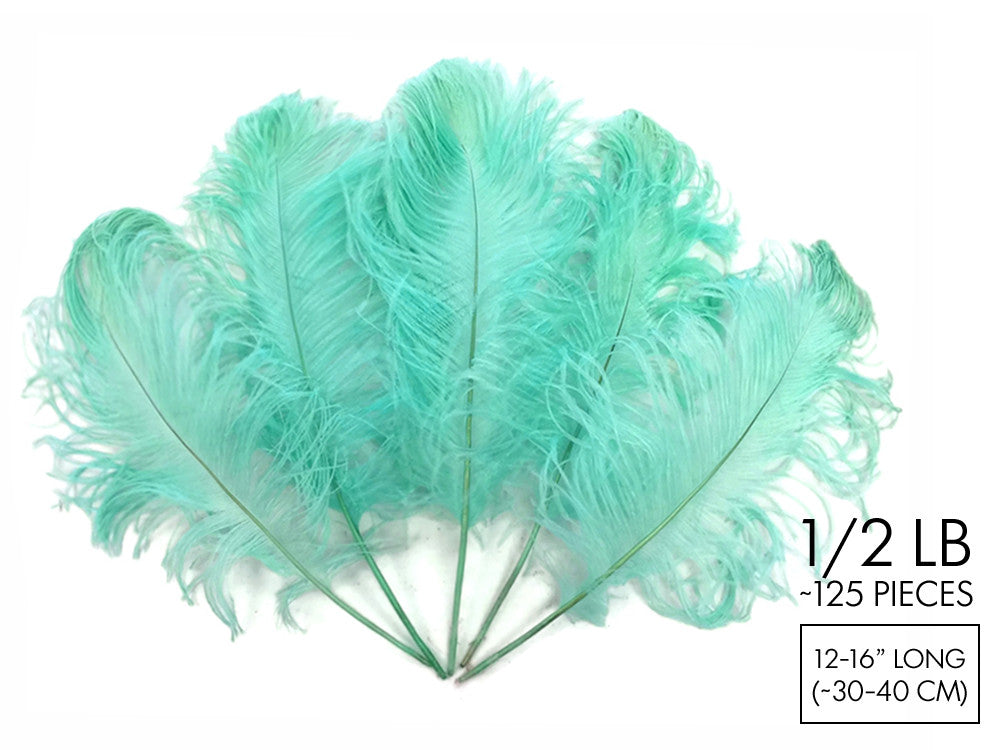 1/2 Lb - 12-16" Mint Green Ostrich Tail Wholesale Fancy Feathers (Bulk)