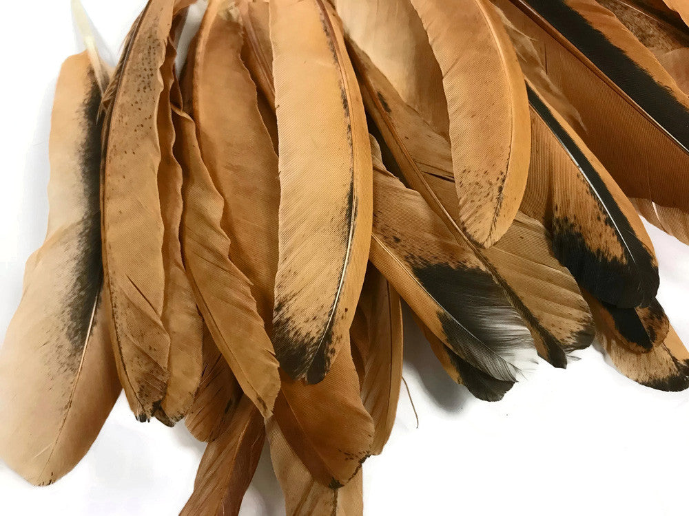 10 Pieces - Natural Golden Brown Hen Wing Quills Feathers