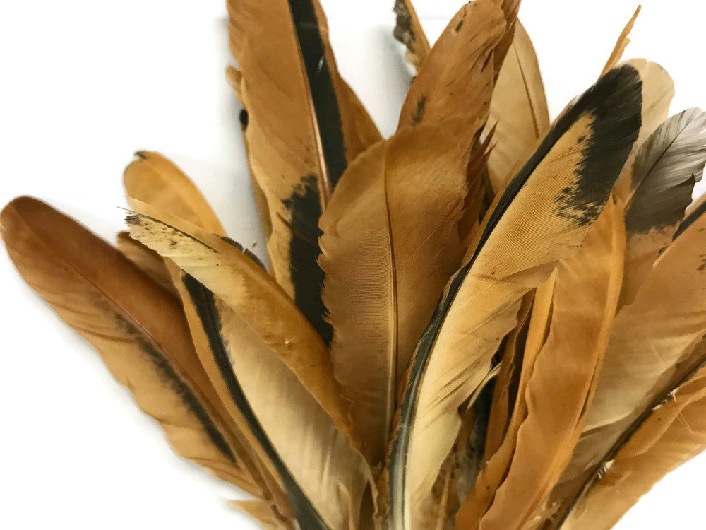 10 Pieces - Natural Golden Brown Hen Wing Quills Feathers