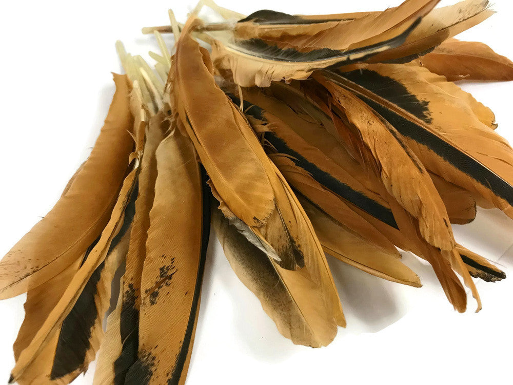 10 Pieces - Natural Golden Brown Hen Wing Quills Feathers