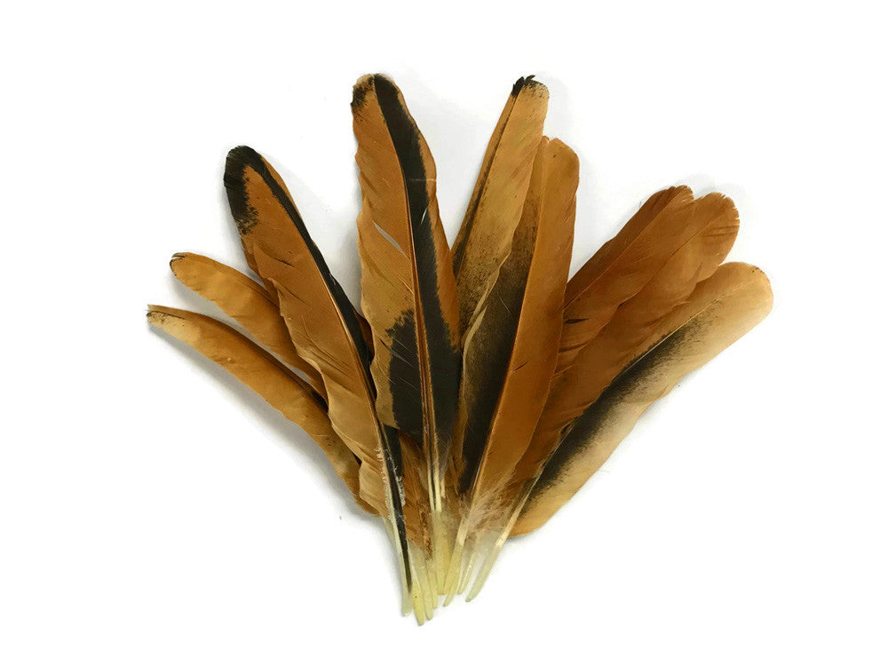 10 Pieces - Natural Golden Brown Hen Wing Quills Feathers