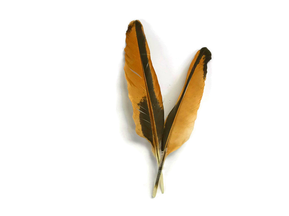 10 Pieces - Natural Golden Brown Hen Wing Quills Feathers