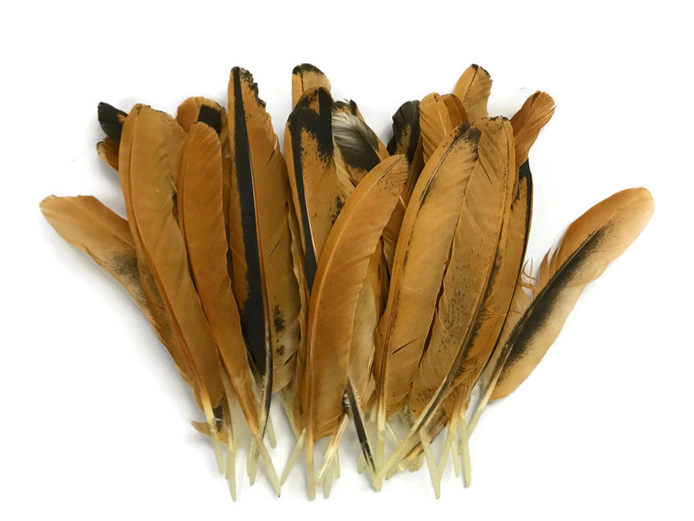 10 Pieces - Natural Golden Brown Hen Wing Quills Feathers