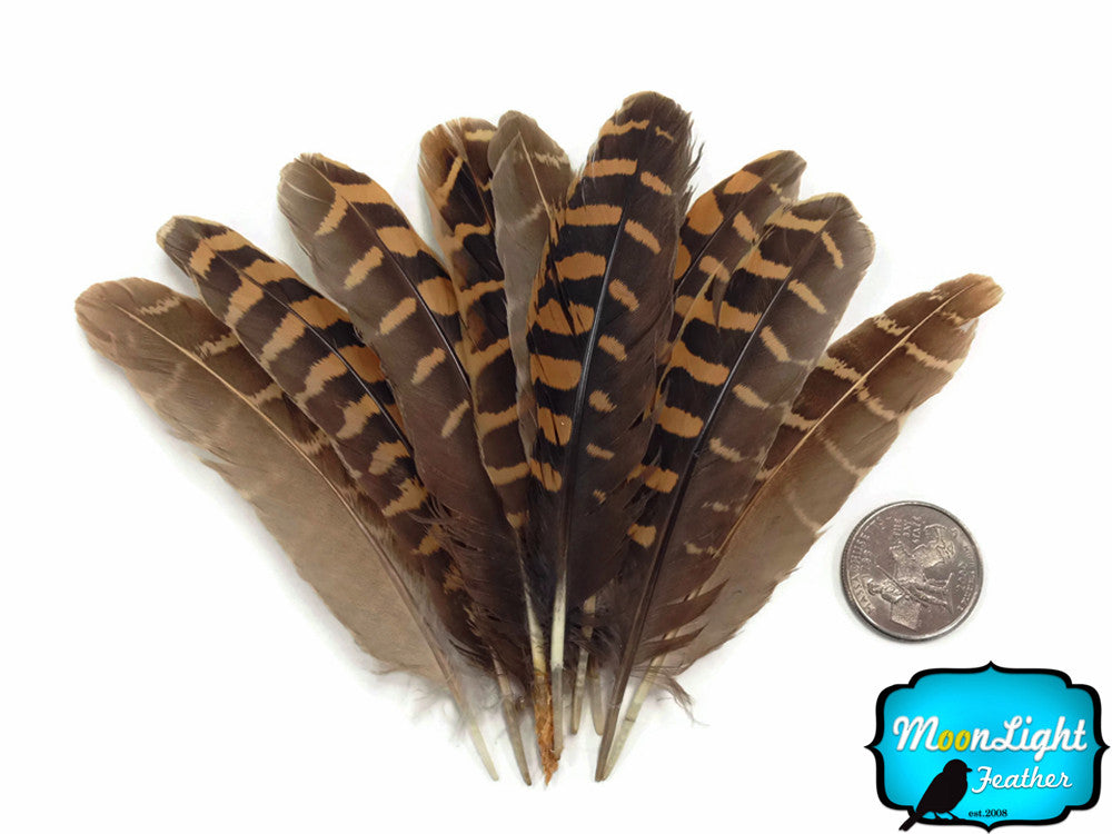 10 Pieces - Natural Brown Partridge Wing Feathers