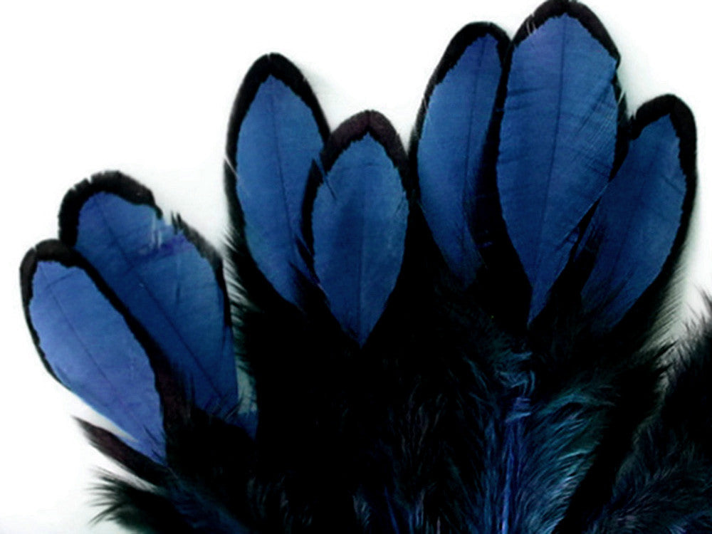 1 Dozen - Navy Blue Whiting Farms Laced Hen Saddle Feathers