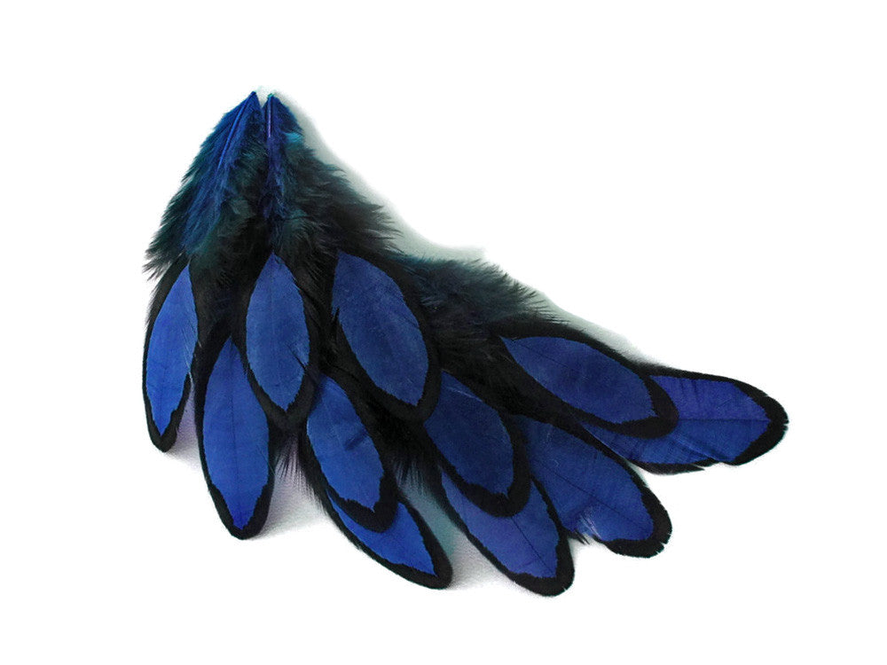 1 Dozen - Navy Blue Whiting Farms Laced Hen Saddle Feathers