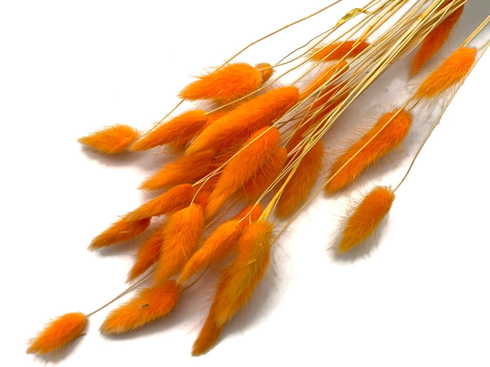 30 Pieces - 12-15" Orange Bunny Tail Preserved Dried Botanical Grass Bouquet