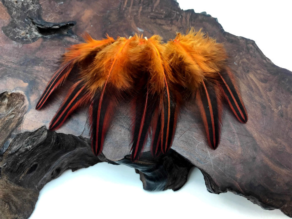 10 Pieces - Orange Dyed Jungle Cock Loose Plumage Feather