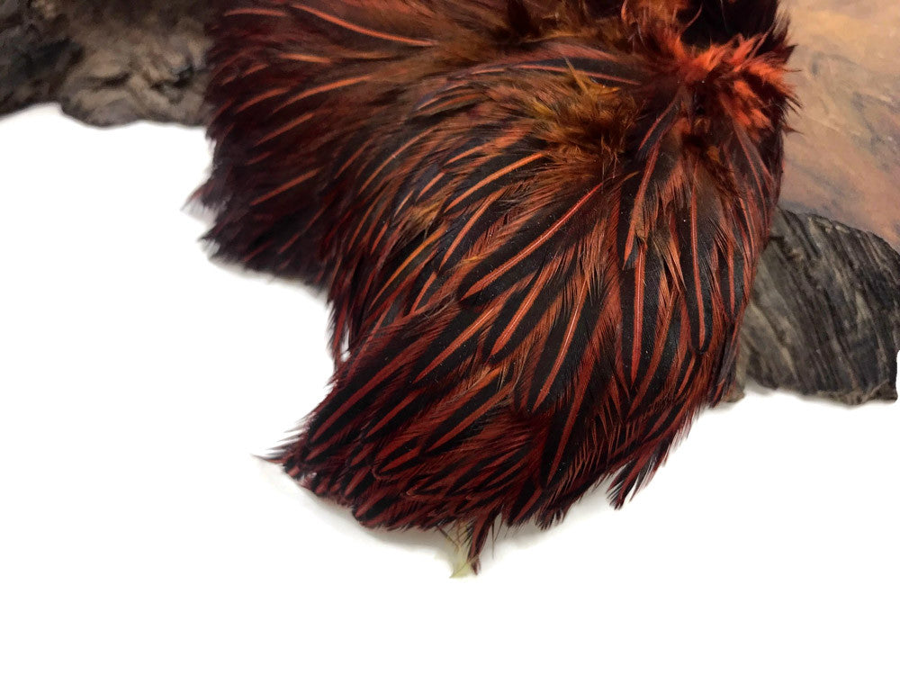 10 Pieces - Orange Dyed Jungle Cock Loose Plumage Feather