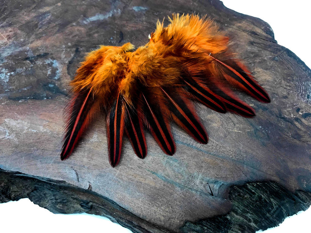 10 Pieces - Orange Dyed Jungle Cock Loose Plumage Feather