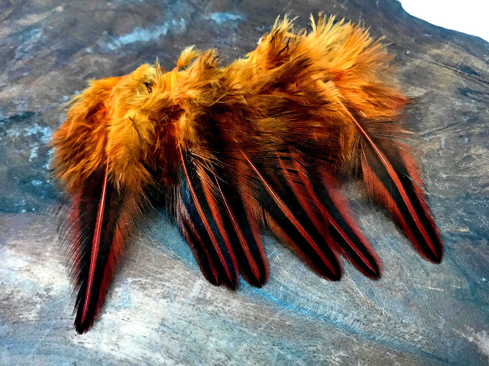 10 Pieces - Orange Dyed Jungle Cock Loose Plumage Feather