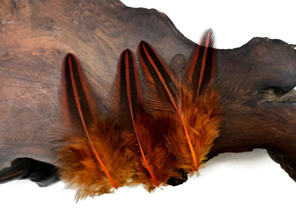 10 Pieces - Orange Dyed Jungle Cock Loose Plumage Feather