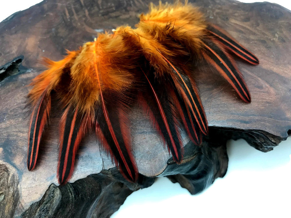 10 Pieces - Orange Dyed Jungle Cock Loose Plumage Feather