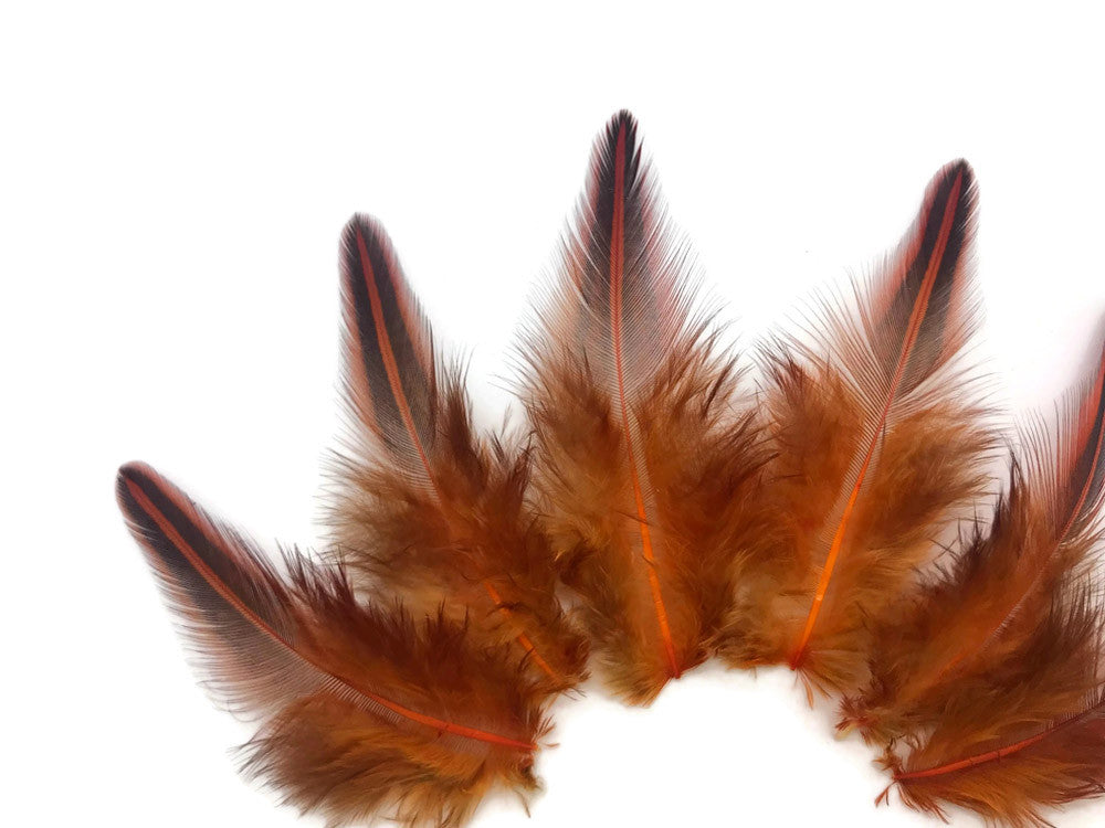 10 Pieces - Orange Dyed Jungle Cock Loose Plumage Feather