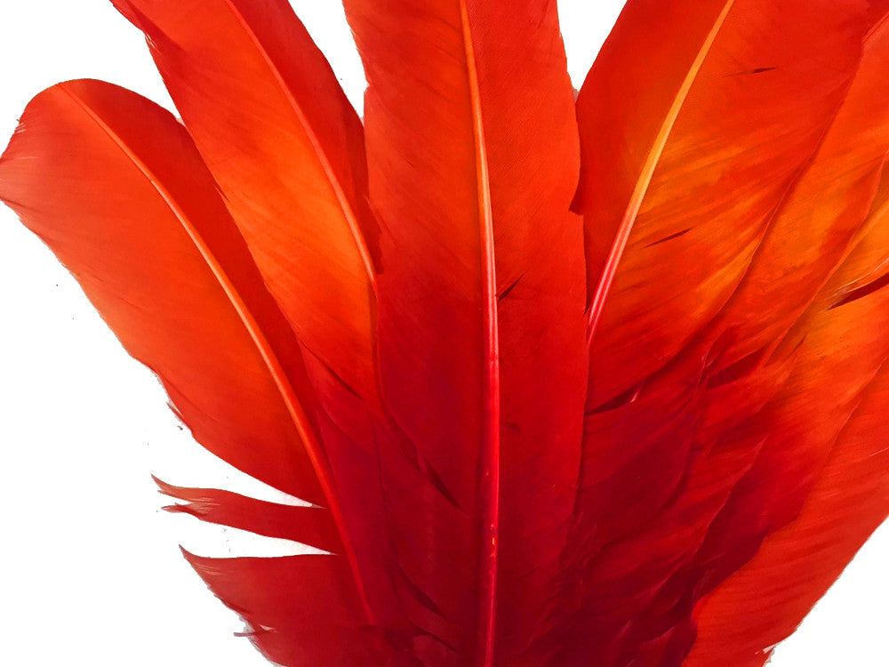 6 Pieces - Fiery Red Ombre Turkey Round Tom Wing Quill Feathers