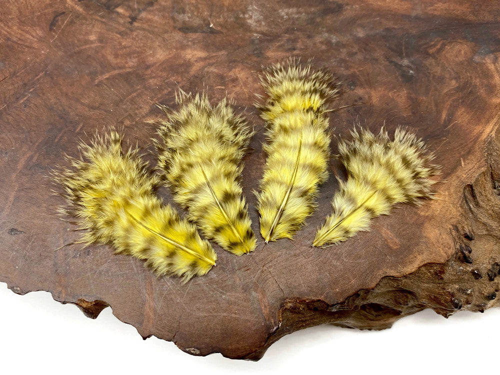 1 Dozen - Pale Yellow Grizzly Mini Rooster Chickabou Fluff Whiting Hair Feathers