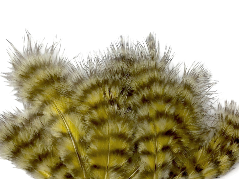 1 Dozen - Pale Yellow Grizzly Mini Rooster Chickabou Fluff Whiting Hair Feathers