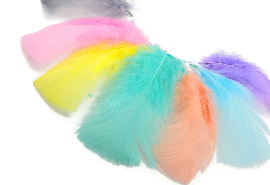 1/4 Lb - Pastel Mix Turkey T-Base Plumage Wholesale Feathers (Bulk)