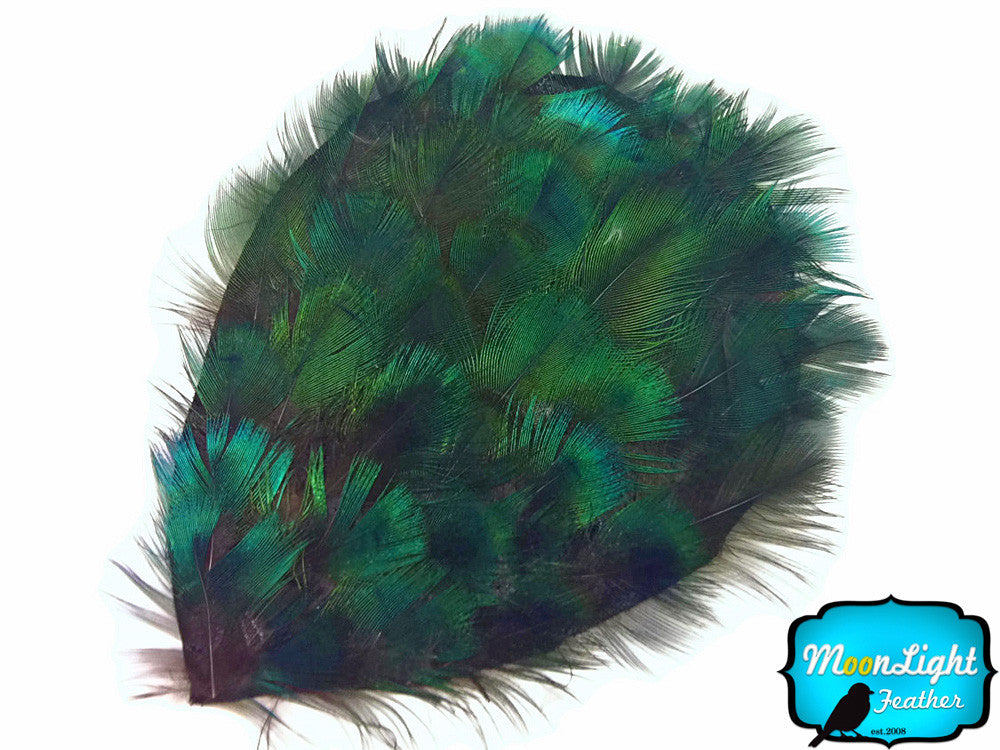 1 Piece - Iridescent Green Peacock Plumage Feather Pad