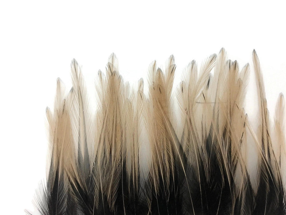 10 Pieces - Tan Dyed BLW Laced Short Rooster Cape Whiting Farms Feathers