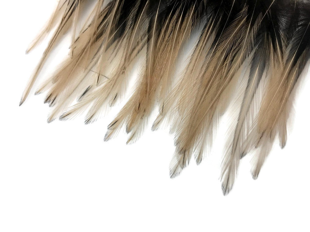 10 Pieces - Tan Dyed BLW Laced Short Rooster Cape Whiting Farms Feathers