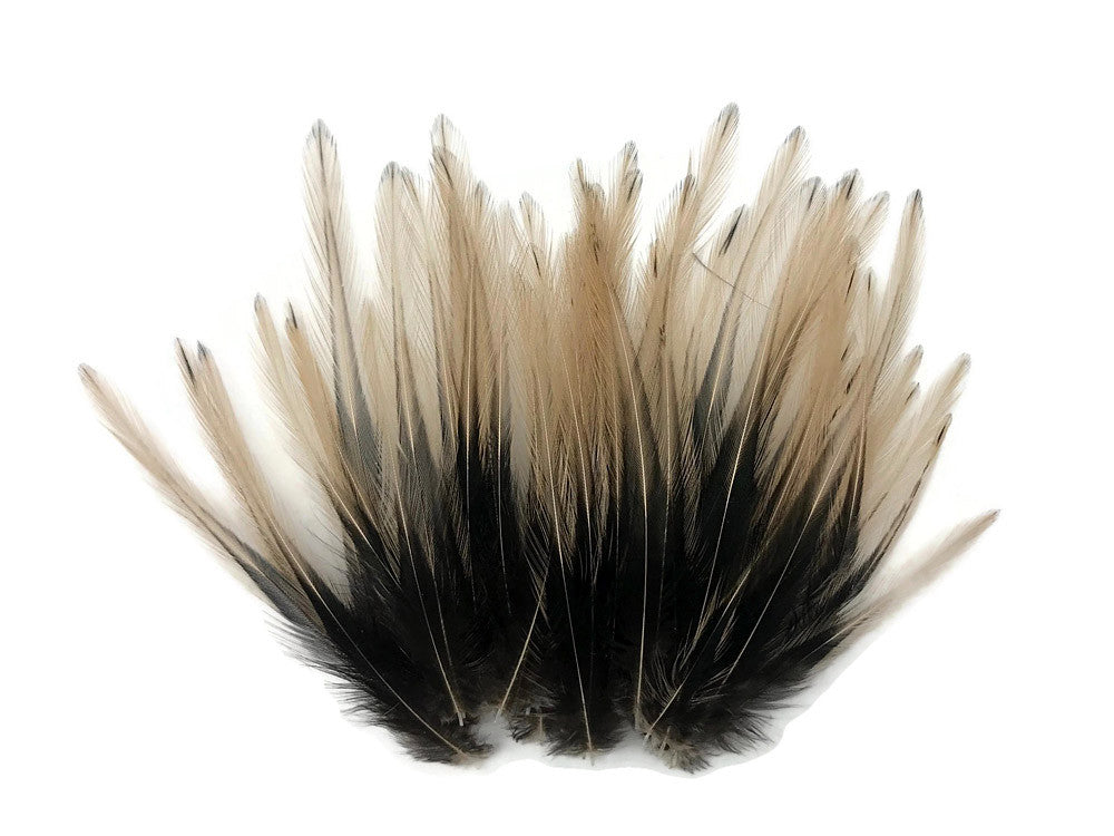 10 Pieces - Tan Dyed BLW Laced Short Rooster Cape Whiting Farms Feathers