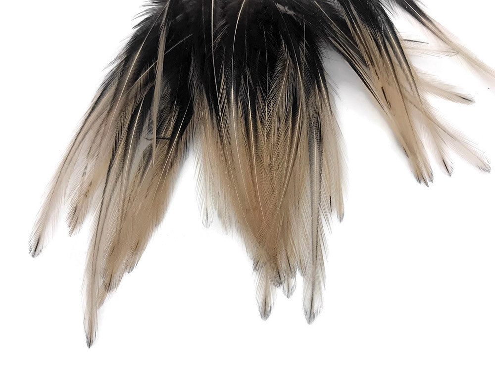 10 Pieces - Tan Dyed BLW Laced Short Rooster Cape Whiting Farms Feathers