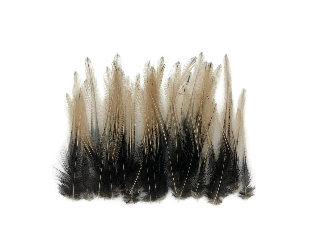 10 Pieces - Tan Dyed BLW Laced Short Rooster Cape Whiting Farms Feathers