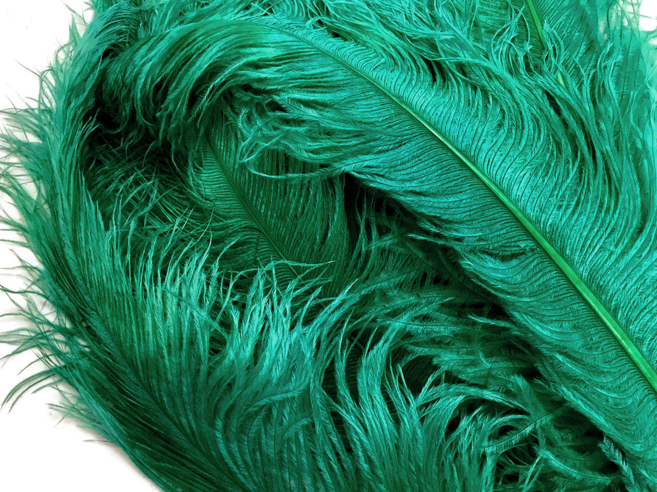 1/2 Lb. - 18-24" Teal Green Large Ostrich Wing Plume Wholesale Feathers (Bulk)