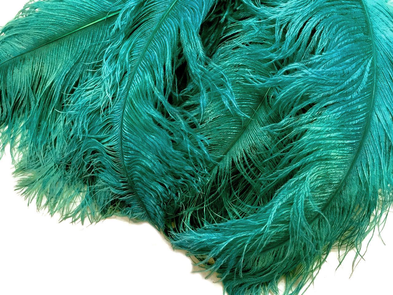 1/2 Lb. - 18-24" Teal Green Large Ostrich Wing Plume Wholesale Feathers (Bulk)