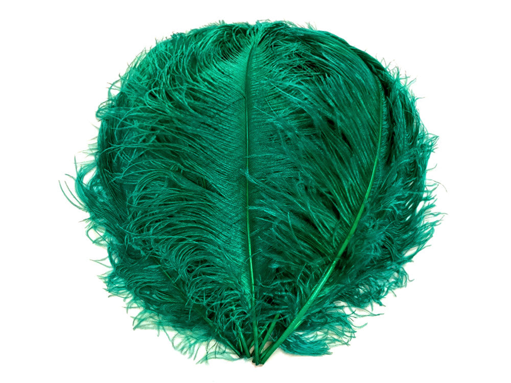 10 Pieces - 18-24" Teal Green Large Prime Grade Ostrich Wing Plume Centerpiece Feathers