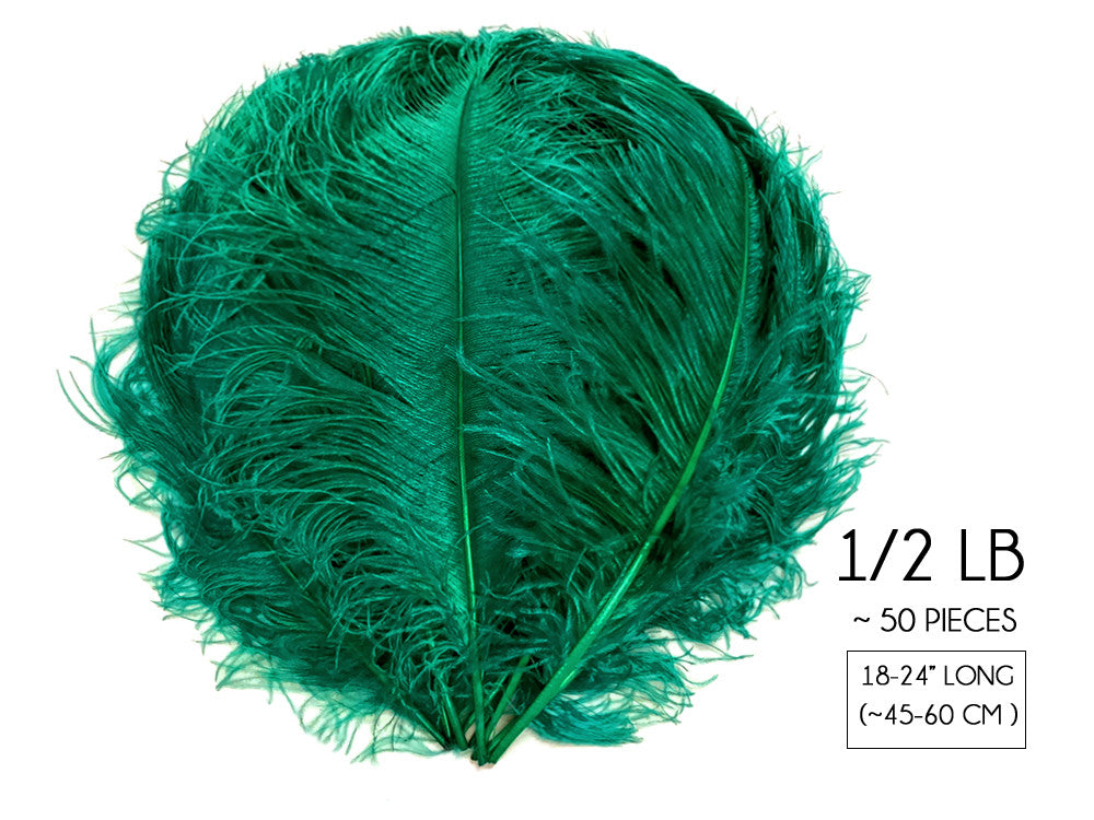 1/2 Lb. - 18-24" Teal Green Large Ostrich Wing Plume Wholesale Feathers (Bulk)