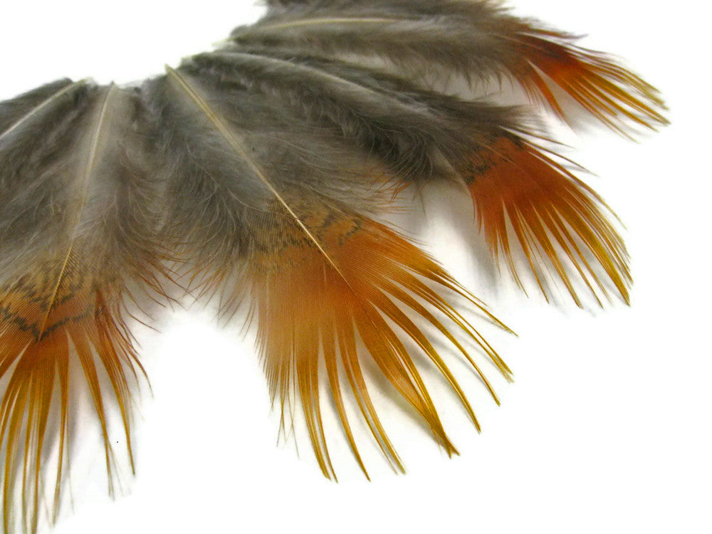 1 Pack - Natural Yellow Golden Pheasant Plumage Loose Feather 0.10 Oz.