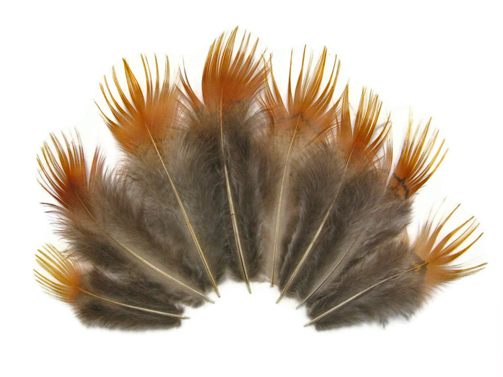 1 Pack - Natural Yellow Golden Pheasant Plumage Loose Feather 0.10 Oz.