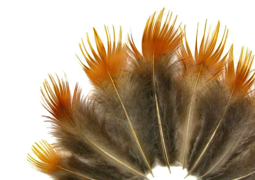 1 Yard - Natural Yellow Golden Pheasant Plumage Body Feather Trim